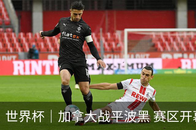 世界杯｜加拿大战平波黑 赛区开幕式表演“翻车”
